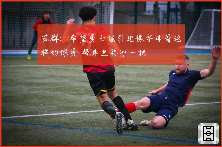 苏群：希望勇士能引进像字母哥这样的球员 帮库里再冲一把