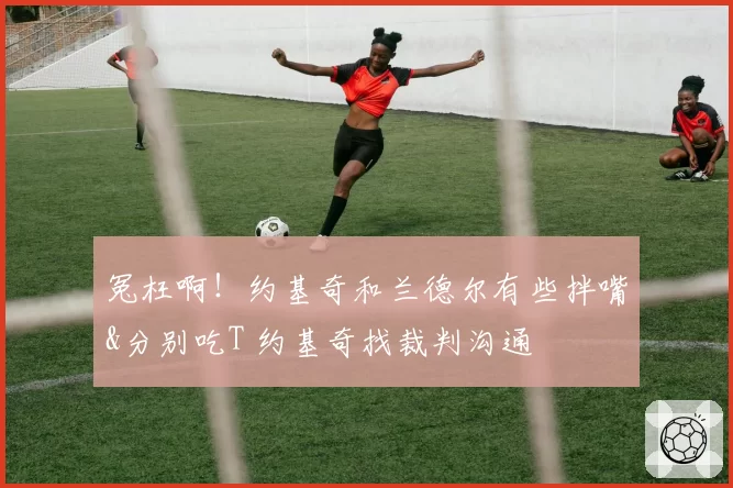 冤枉啊！约基奇和兰德尔有些拌嘴&分别吃T 约基奇找裁判沟通