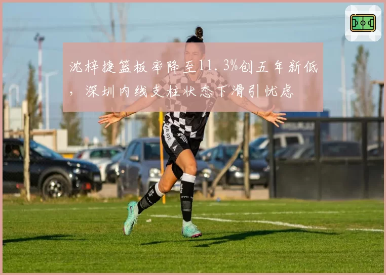 沈梓捷篮板率降至11.3%创五年新低，深圳内线支柱状态下滑引忧虑